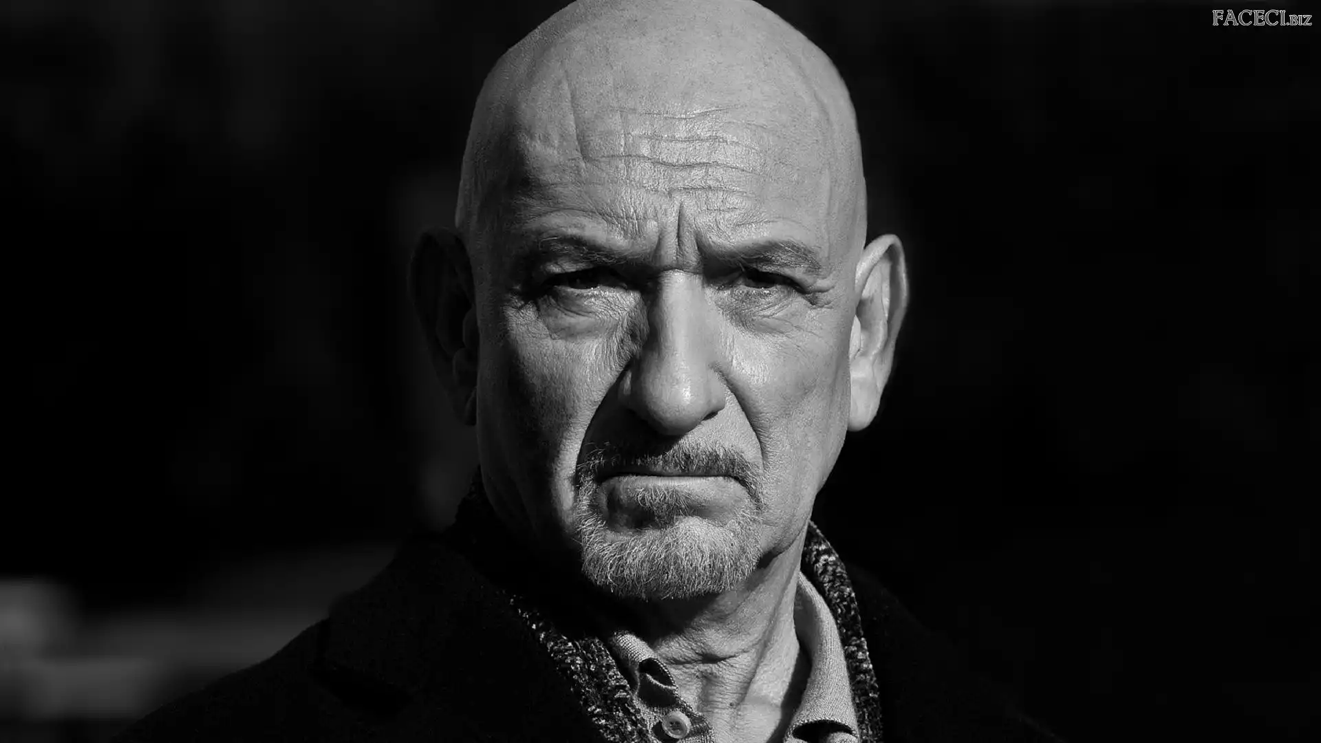 Aktor, Ben Kingsley, Mężczyzna, Twarz