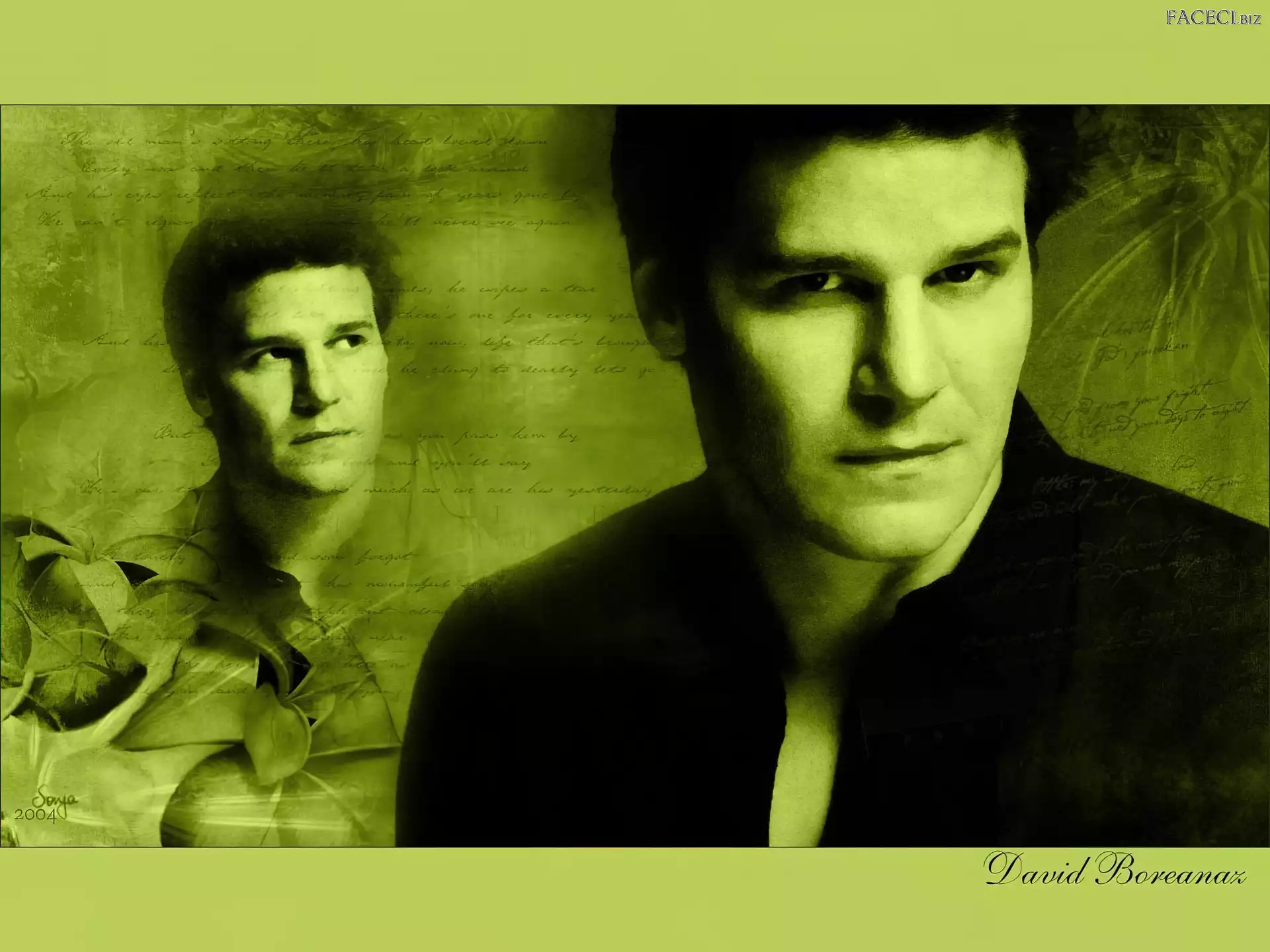 ciemny strój, David Boreanaz, czarne włosy