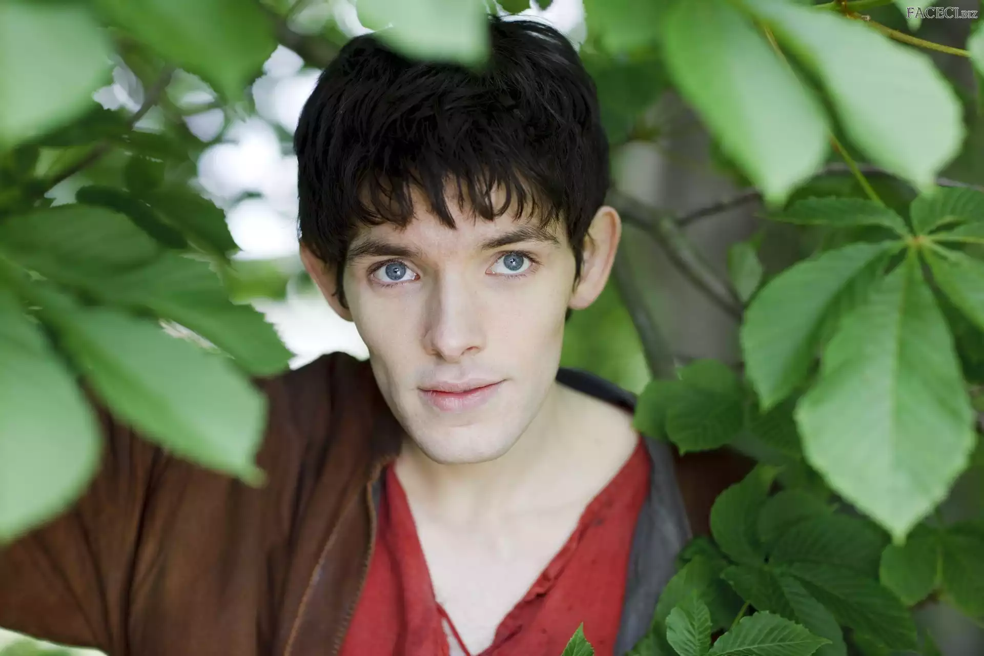 Colin Morgan, Aktor, Przygody Merlina, Serial, The Adventures of Merlin